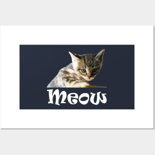 Cute Cats and Kittens Posters and Art